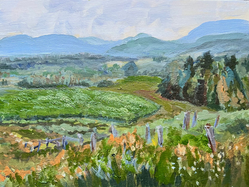 Misty Summer Morn