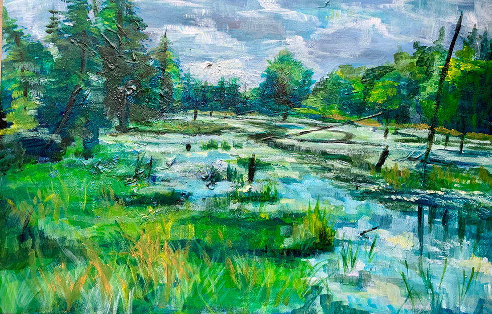 Beaver Meadow