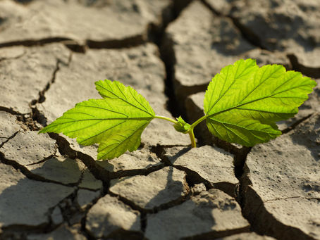Be the Change: A Transactional Analysis Approach on how to reduce stress