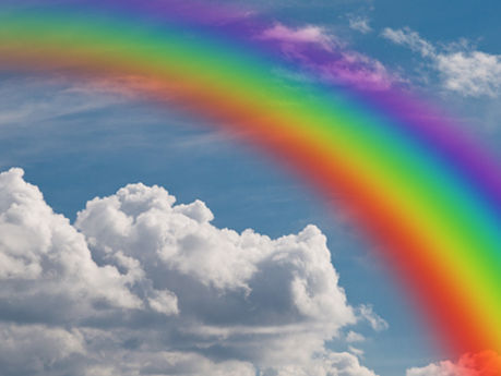 Swimming in Color: Unleashing the Creative Mind