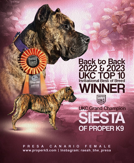 Siri Top 10 Poster.jpg