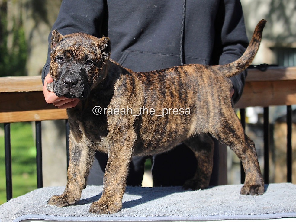 10 Weeks