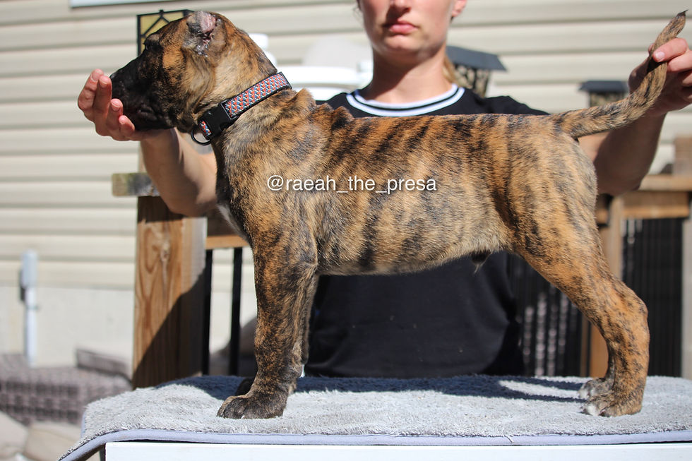 9 Weeks