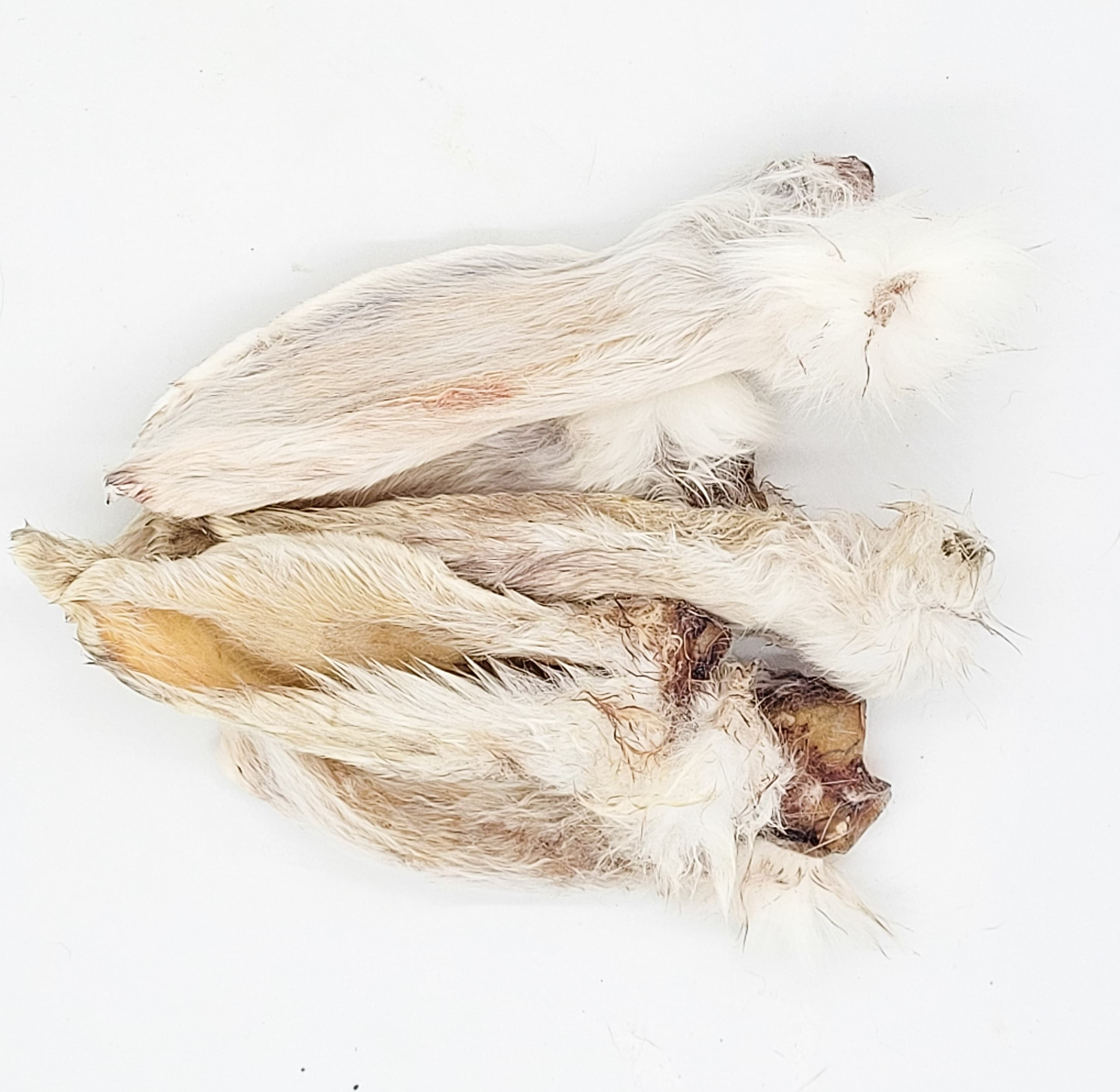 Dehydrated Rabbit Ears