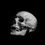 Thumbnail: FREE REAL Human Skull HD Image Photo for Reference and Making Stencil
