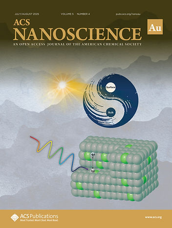 anaccx.2025.5.issue-4.xlargecover-2.jpg