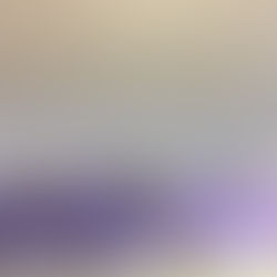 Celebración de Pastoral: Unidos en la Esperanza, mensajeros de la Paz.