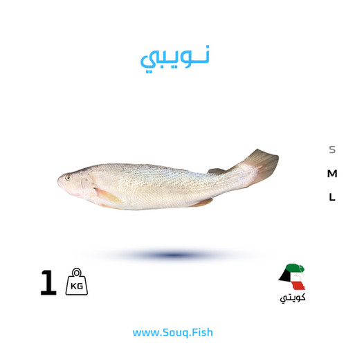 سمك نويبي كويتي | SOUQ FISH
