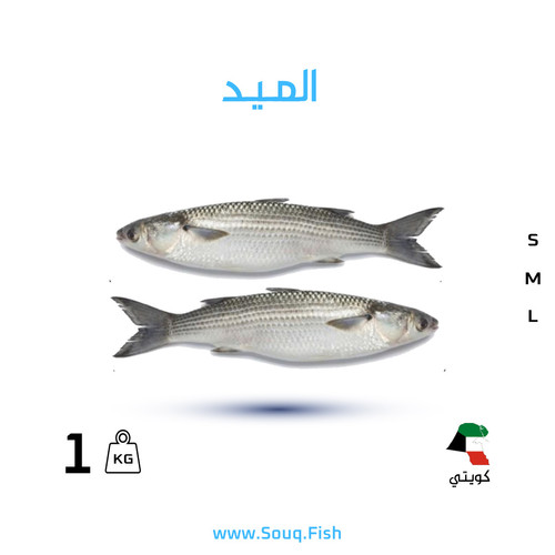 سمك ميـد كويتي | SOUQ FISH