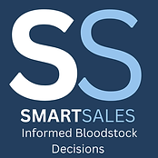 SmartSales.png