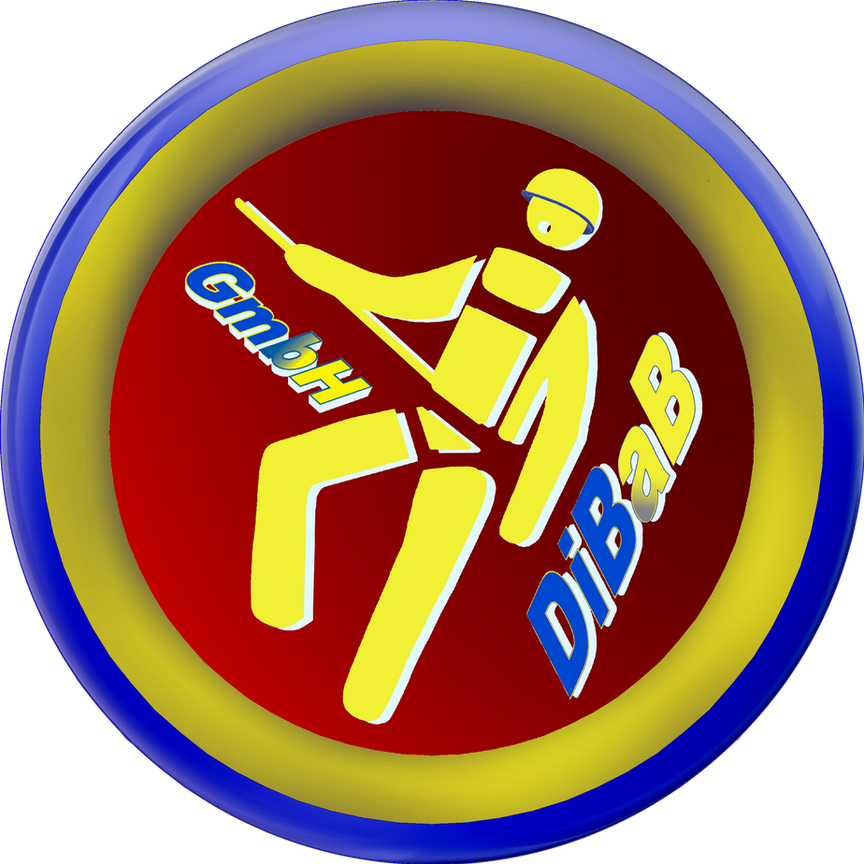 Dachsteiger Dresden, Dachschaden, Bergsteiger, Dachreparatur, Dachrinnenreinigung, Dacharbeit ohne Gerüst, Dach reparieren, Dachdecker, Höhenarbeit, Industriekletterer, Dachkletterer, Radebeul, Freital
