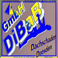 Dachdecker Dresden, Dachsteiger, Dachschaden, Bergsteiger, Dachreparatur, Dachrinnenreinigung, Dacharbeit ohne Gerüst, Dach reparieren, Höhenarbeit, Industriekletterer, Dachkletterer, Radebeul, Freital