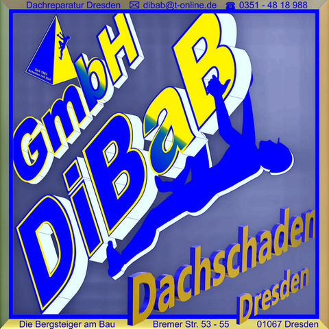 Dachschaden Dresden