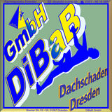 Dachschaden Dresden, Dachsteiger, Bergsteiger, Dachreparatur, Dachrinnenreinigung, Dacharbeit ohne Gerüst, Dach reparieren, Dachdecker, Höhenarbeit, Industriekletterer, Dachkletterer, Radebeul, Freital