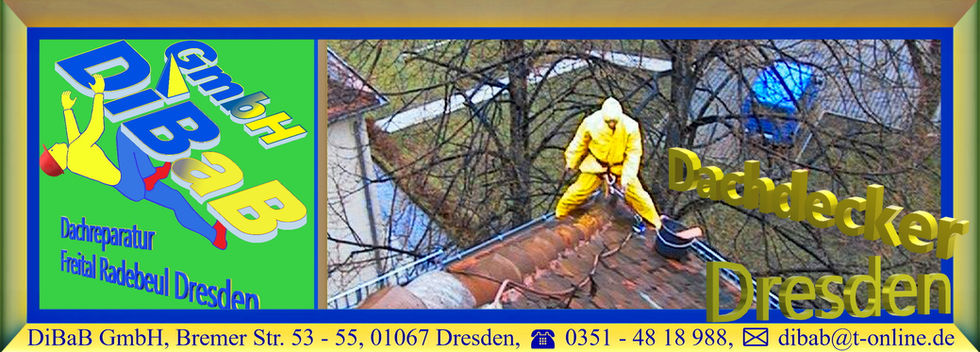 Dachdecker Dresden | DiBaB GmbH – Dachdecker + Bergsteiger = Dachsteiger & Industriekletterer