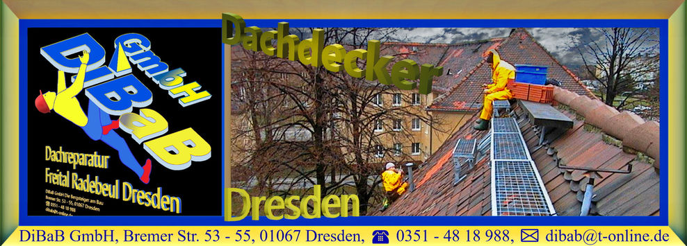 Dachnotdienst Dresden | DiBaB GmbH – Dachdecker + Bergsteiger = Dachsteiger & Industriekletterer