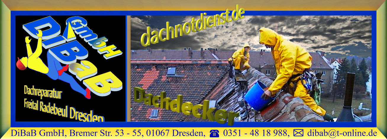 Dachschaden Dresden | DiBaB GmbH – Dachdecker + Bergsteiger = Dachsteiger & Industriekletterer