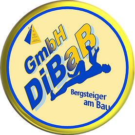 Bergsteiger Dresden, Dachsteiger, Dachschaden, Dachreparatur, Dachrinnenreinigung, Dacharb