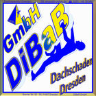 Dachschaden | Dresden | DiBaB GmbH Die Bergsteiger am Bau