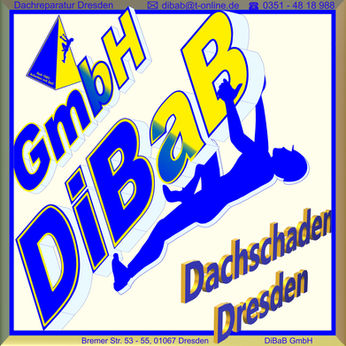 Dachschaden | Dresden | DiBaB GmbH Die Bergsteiger am Bau