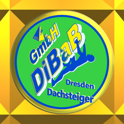 Dachsteiger Dresden, Dachdecker, Dachschaden, Bergsteiger, Dachreparatur, Dachrinnenreinig