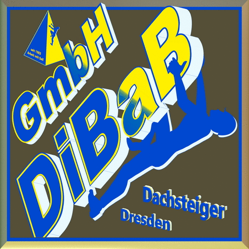 Dachsteiger Dresden, Dachschaden, Bergsteiger, Dachreparatur, Dachrinnenreinigung, Dacharb