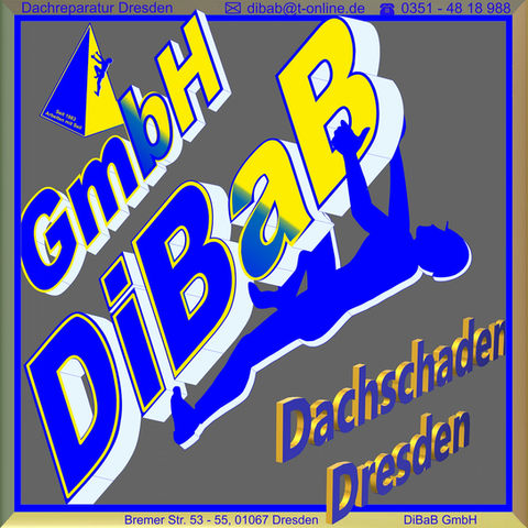 Dachschaden | Dresden | DiBaB GmbH Die Bergsteiger am Bau