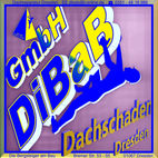 Dachschaden Dresden, Dachsteiger, Bergsteiger, Dachreparatur, Dachrinnenreinigung, Dacharbeit ohne Gerüst, Dach reparieren, Dachdecker, Höhenarbeit, Industriekletterer, Dachkletterer, Radebeul, Freital