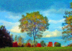 MP3 kostenlos, Notenverkauf, Playlists, DiBaB Music, André Hüller, Noten, Piano, Volksmusik, Country