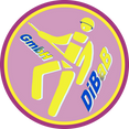 Dachschaden | Dresden | DiBaB GmbH – Dachdecker + Bergsteiger = Dachsteiger & Industriekletterer