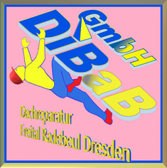 Dach reparieren Dresden
