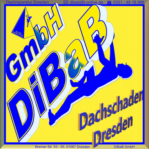 Dachrinne Dresden
