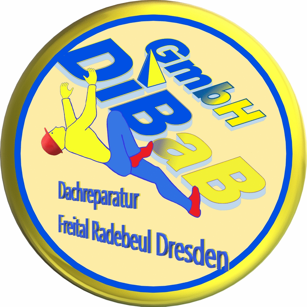 Dachsteiger Dresden, Dachschaden, Bergsteiger, Dachreparatur, Dachrinnenreinigung, Dacharb