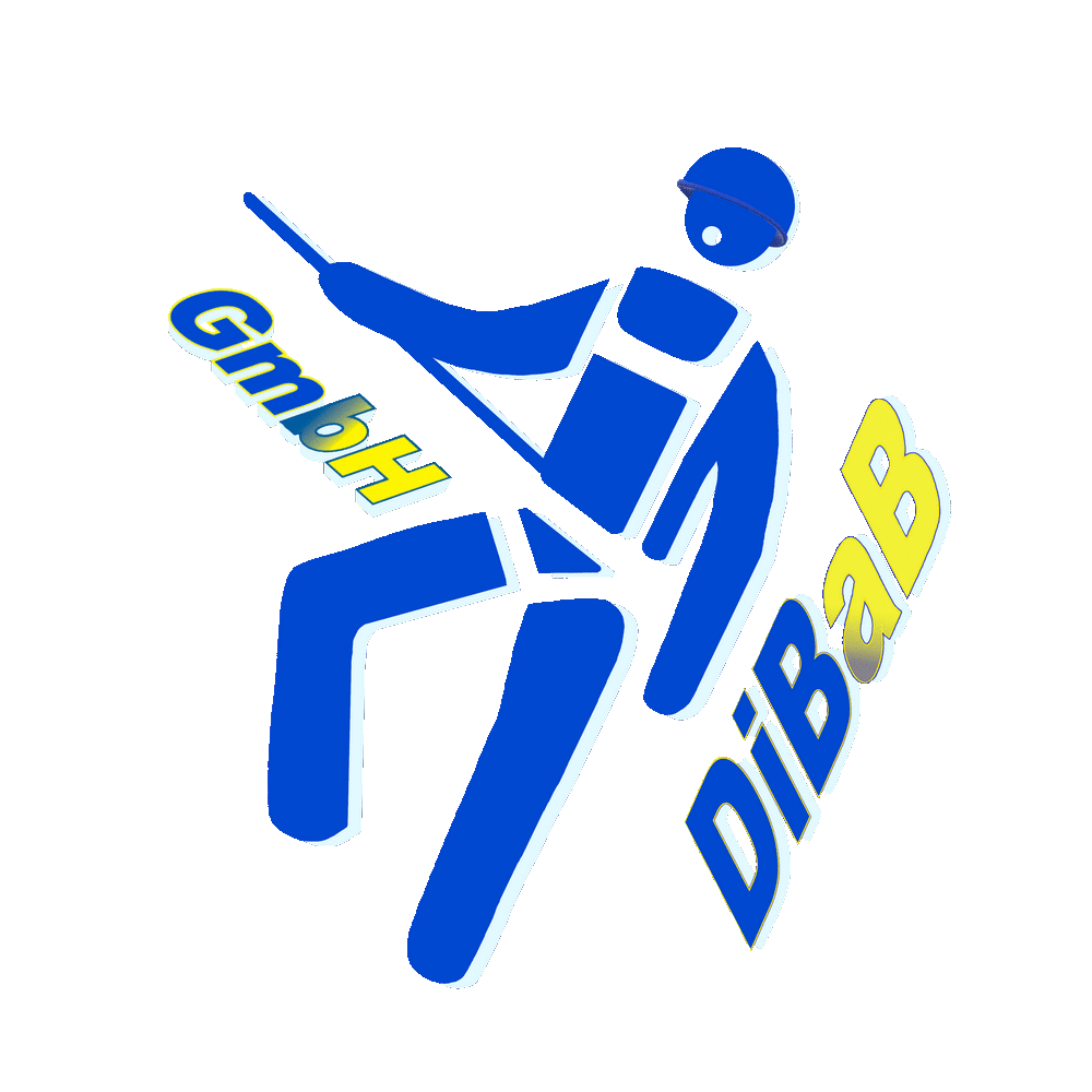 Dachsteiger Dresden, Dachschaden, Bergsteiger, Dachreparatur, Dachrinnenreinigung, Dacharb