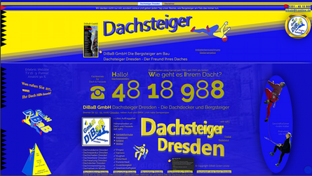 Dach reparieren Dresden