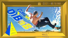 Dachdecker | Dresden | DiBaB GmbH – Dachdecker + Bergsteiger = Dachsteiger & Industriekletterer