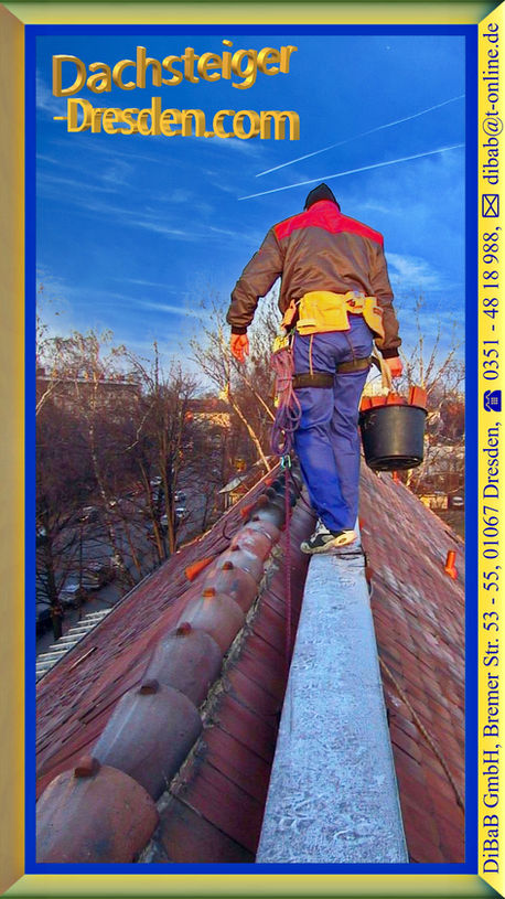 Dachsteiger | Dresden | DiBaB GmbH Die Bergsteiger am Bau