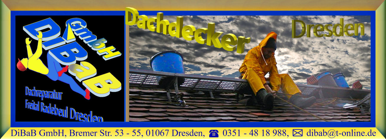 Dacharbeit ohne Gerüst | Dresden | DiBaB GmbH – Dachdecker + Bergsteiger = Dachsteiger & Industriekletterer