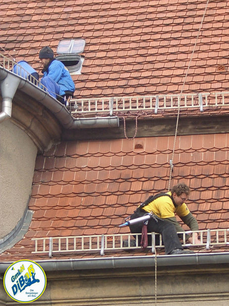 Dacharbeit ohne Gerüst Dresden, Dachsteiger, Dachschaden, Dachreparatur, Dachrinnenreinigung, Bergsteiger, Dachdecker, Dachkletterer, Dach reparieren, Höhenarbeit, Industriekletterer, Freital, Radebeul