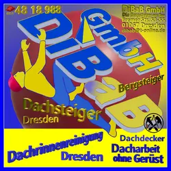 Dacharbeit ohne Gerüst Dresden wird von den Dachsteigern (Dachdecker und Bergsteiger)