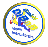 Dachreparatur Dresden, Dachsteiger, Dachschaden, Dachrinnenreinigung, Bergsteiger, Dachkletterer, Dachdecker, Dacharbeit ohne Gerüst, Dach reparieren, Höhenarbeit, Industriekletterer, Freital, Radebeul