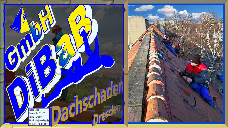 Dachschaden Dresden, Dachsteiger, Bergsteiger, Dachreparatur, Dachrinnenreinigung, Dacharbeit ohne Gerüst, Dach reparieren, Dachdecker, Höhenarbeit, Industriekletterer, Dachkletterer, Radebeul, Freital