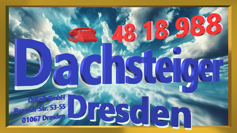 Dachdecker Dresden