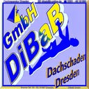 Dachschaden | Dresden | DiBaB GmbH Die Bergsteiger am Bau