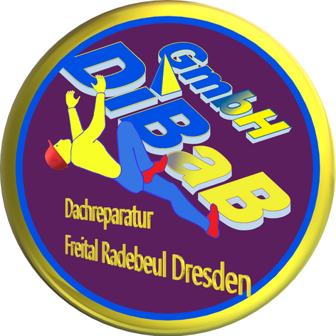 Dachreparatur Dresden, Dachsteiger, Dachschaden, Bergsteiger, Dachrinnenreinigung, Dacharbeit ohne Gerüst, Dach reparieren, Dachdecker, Höhenarbeit, Industriekletterer, Dachkletterer, Radebeul, Freital