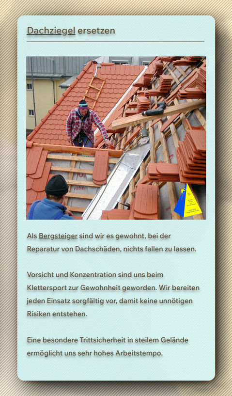 Dachschaden Dresden