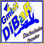 Dachschaden | Dresden | DiBaB GmbH Die Bergsteiger am Bau