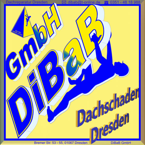 Dachschaden | Dresden | DiBaB GmbH Die Bergsteiger am Bau