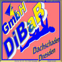 Dachschaden | Dresden | DiBaB GmbH Die Bergsteiger am Bau