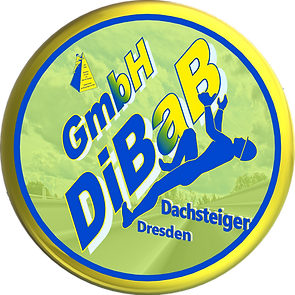 Dachsteiger Dresden, Dachschaden, Dachreparatur, Dachrinnenreinigung, Bergsteiger, Dachdec